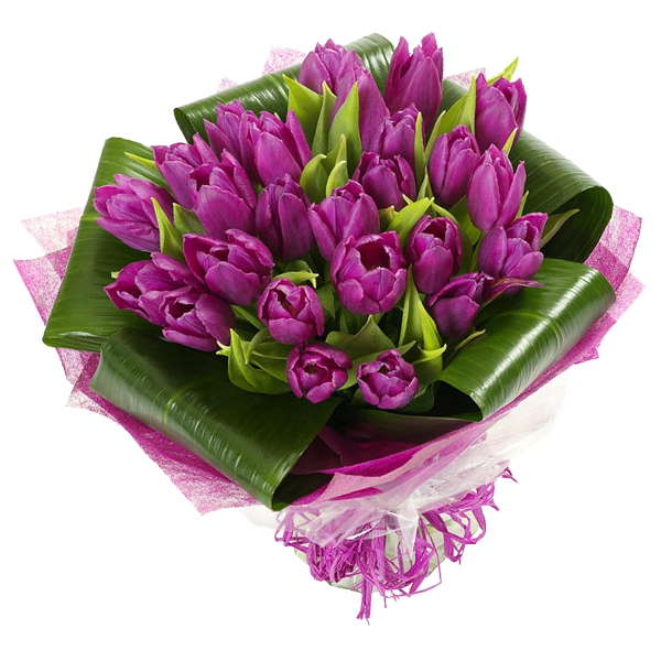 Букет из 25 тюльпанов, A bouquet of 25 tulips