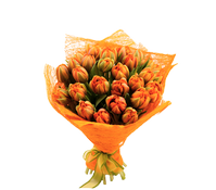 Букет из 27 тюльпанов, A bouquet of 27 tulips