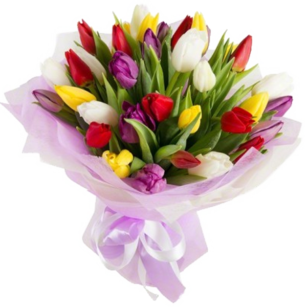 Букет из 29 тюльпанов, A bouquet of 29 tulips