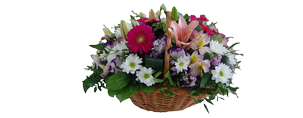 A basket of flowers Aurora