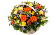 A basket of flowers beautiful stranger