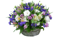 A basket of flowers floral extravaganza