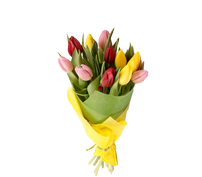 Букет из 11 тюльпанов, Bouquet of 11 tulips