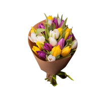 Букет из 23 тюльпанов, Bouquet of 23 tulips