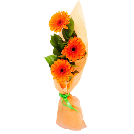 Букет "Три герберы", A bouquet of three gerberas