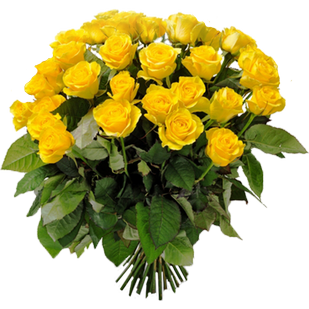 Букет из 27 желтых роз