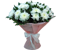 bouquet with chrysanthemum solar