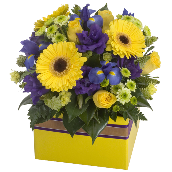 flowers in a box No. 14