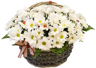 A basket of flowers crystal lights