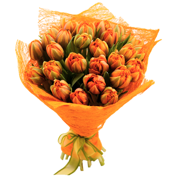 Букет из 27 тюльпанов, A bouquet of 27 tulips