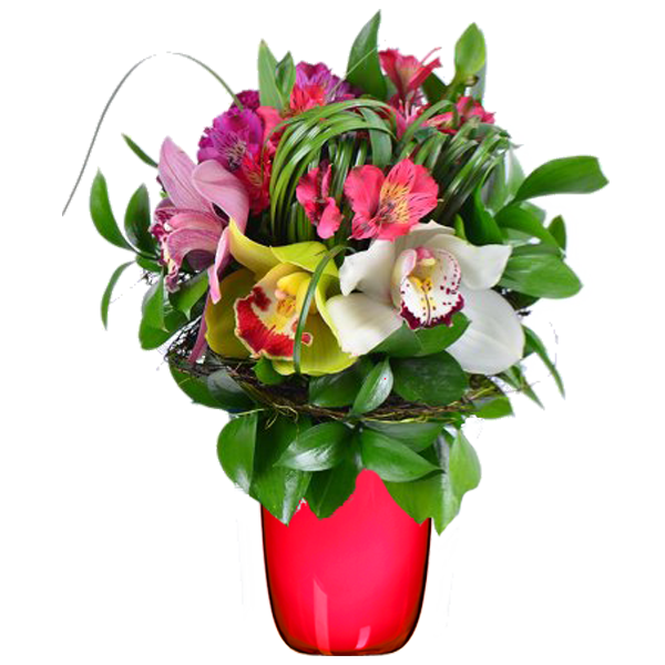 Букет из Орхидей "С любовью", A bouquet of orchids with love