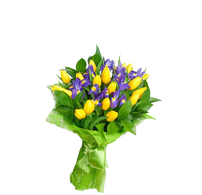 Букет из Ирисов "Чудесный", A wonderful bouquet of irises
