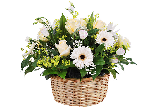 a basket of flowers spring waltz