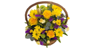 Корзины цветов, Basket of flowers