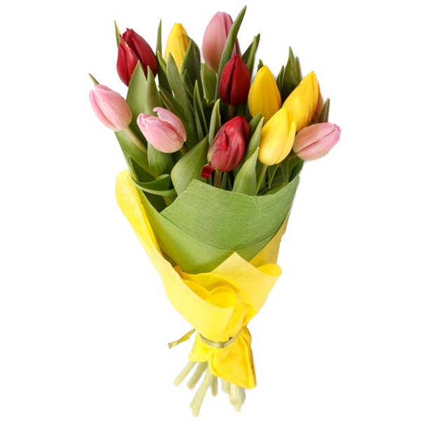 Букет из 9 тюльпанов, Bouquet of 9 tulips