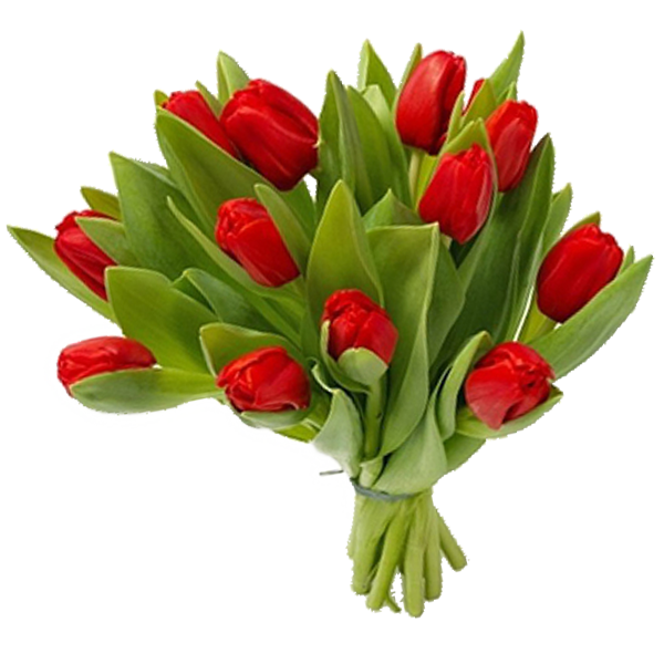 Букет из 13 тюльпанов, Bouquet of 13 tulips