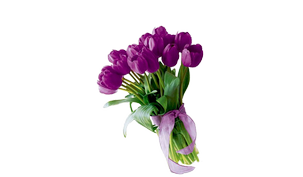 Букет из 15 тюльпанов, Bouquet of 15 tulips