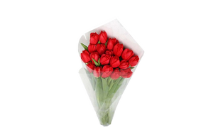 Букет из 19 тюльпанов, Bouquet of 19 tulips