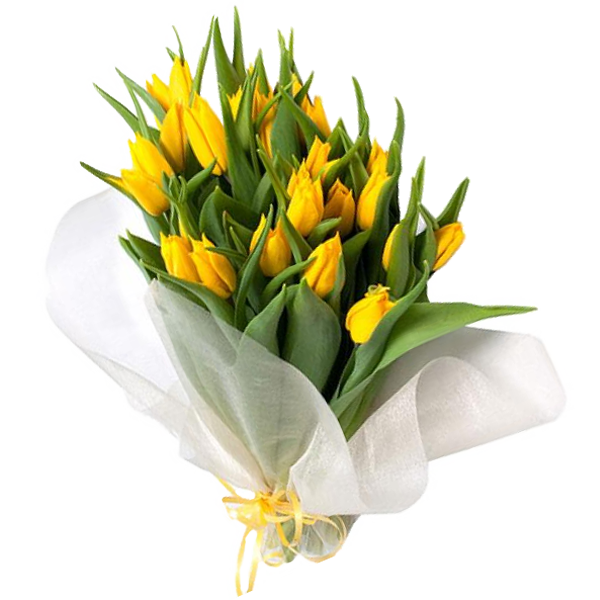 Букет из 21 тюльпана, Bouquet of 21 Tulip