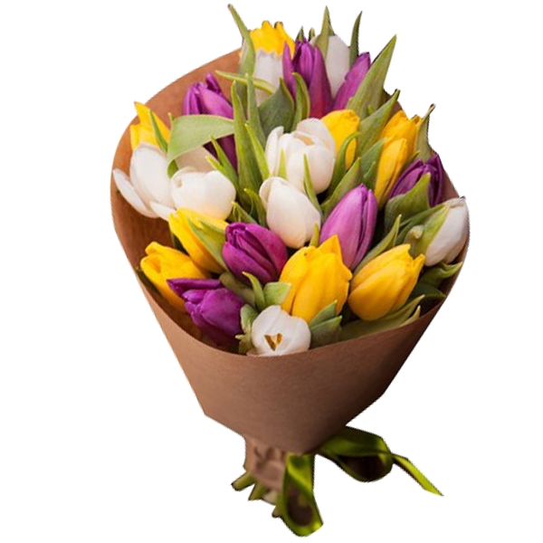 Букет из 23 тюльпанов, Bouquet of 23 tulips