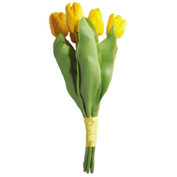 Букет из 5 тюльпанов, Bouquet of 5 tulips