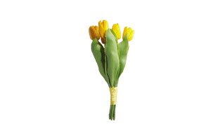 Букет из 5 тюльпанов, Bouquet of 5 tulips