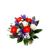 Букет из Ирисов "Анастасия", Bouquet of irises "Anastasia"