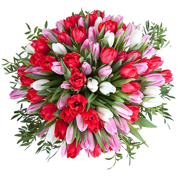 Букет из тюльпанов "101 комплимент", Bouquet of tulips "101 a compliment"