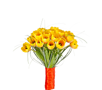 Букет из тюльпанов "Комплимент", Bouquet of tulips "Compliment"