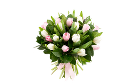 Bouquet of tulips "Morning freshness"