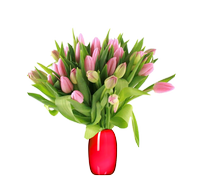 Букет из тюльпанов "Незабываемая весна", Bouquet of tulips "Unforgettable spring"