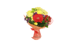 Букет с герберой " Бархатный", Bouquet with Velvet gerberoy