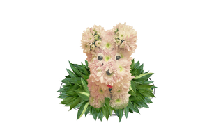Собачки из цветов, Dogs made of flowers