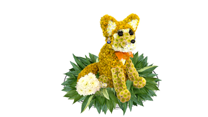 Лисы, Лисята из цветов, Foxes of flowers