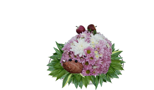 Ежики из цветов, Hedgehogs of flowers