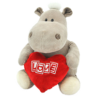 Hippo boy with a heart