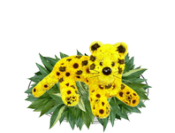 Леопарды из цветов, Leopards of flowers