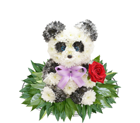 Панды из цветов, Panda flowers