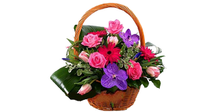 The basket of flowers a gentle surprise