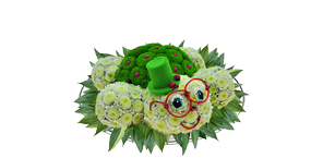 Черепашки из цветов, Turtles of flowers