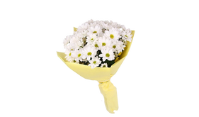 Букет с герберой "Снежана", bouquet with chrysanthemum Snezana