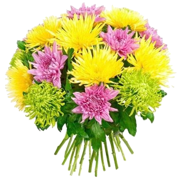Букет из Хризантем "Многоликий", bouquet with chrysanthemum has many faces