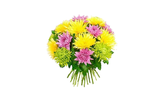 Букет из Хризантем "Многоликий", bouquet with chrysanthemum has many faces