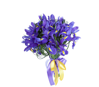 Букет из Ирисов "Небесная синь", bouquets of irises "Heavenly blue"