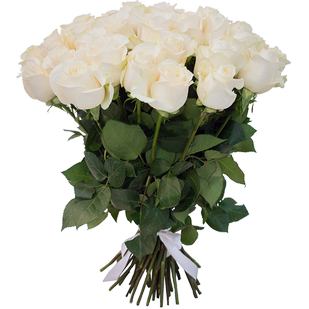 Букет из 27 белых роз