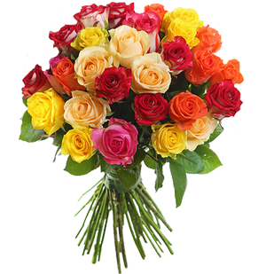Букет из 27 разноцветных роз