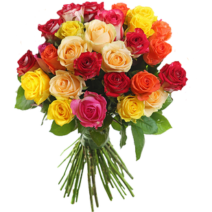 Букет из 29 разноцветных роз