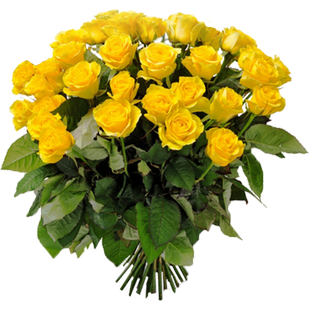 Букет из 29 желтых роз