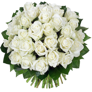 Букет из 33 белых роз
