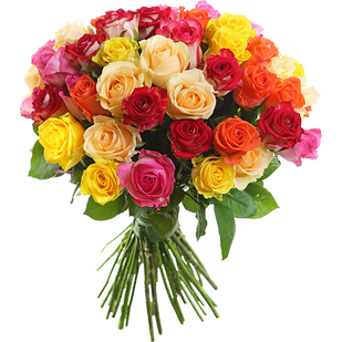 Букет из 33 розноцветных роз
